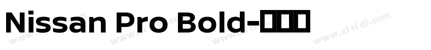 Nissan Pro Bold字体转换